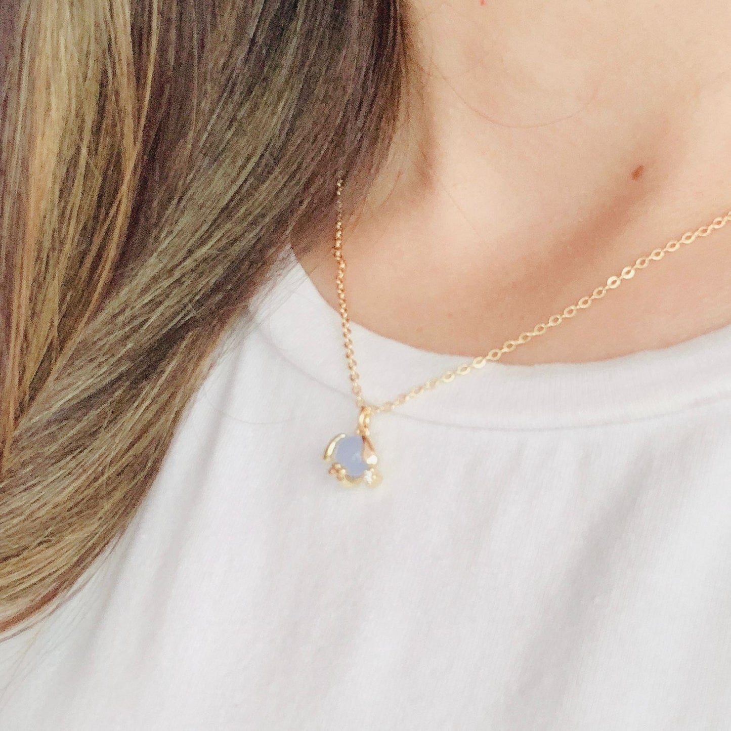Collar Lomito