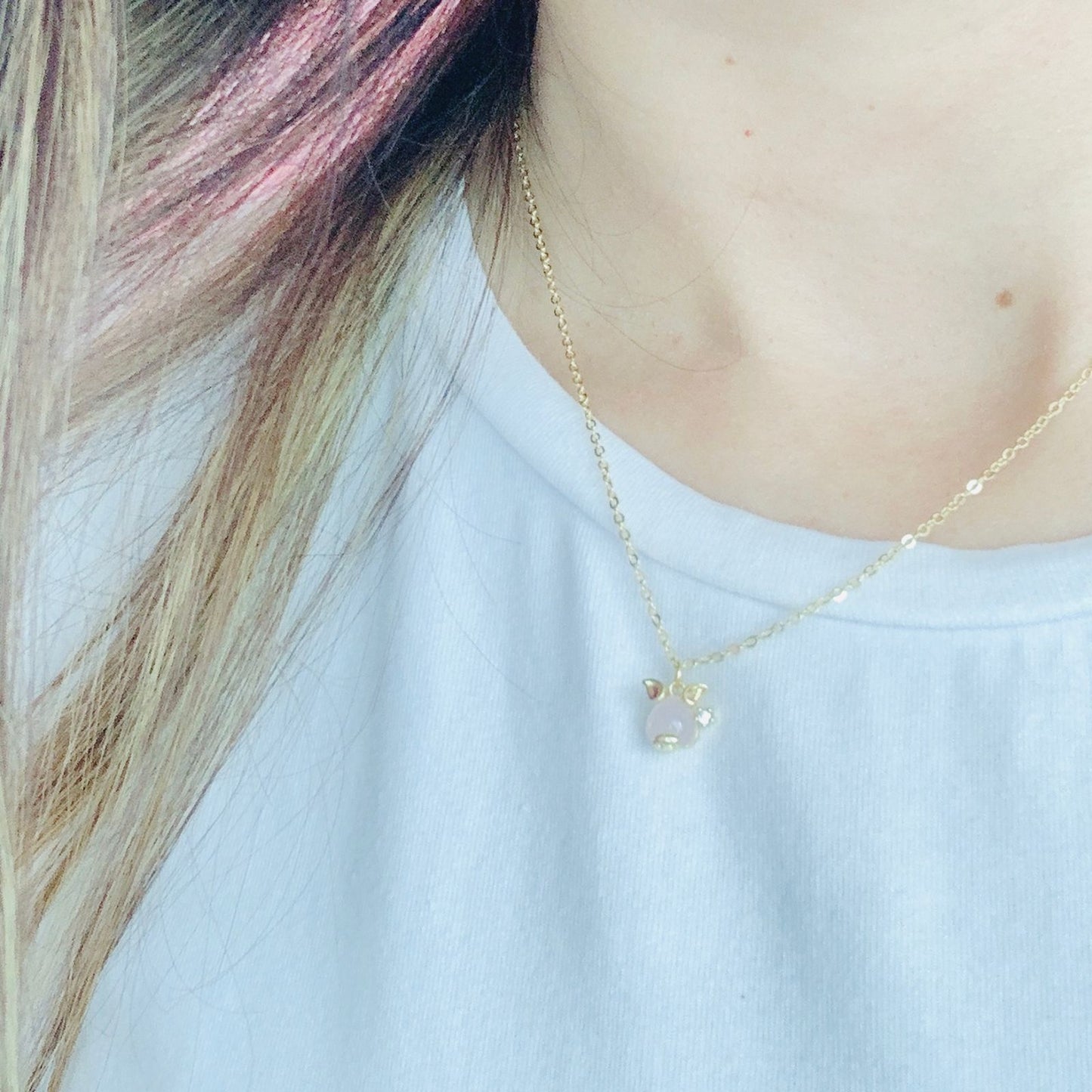 Collar Puerquito